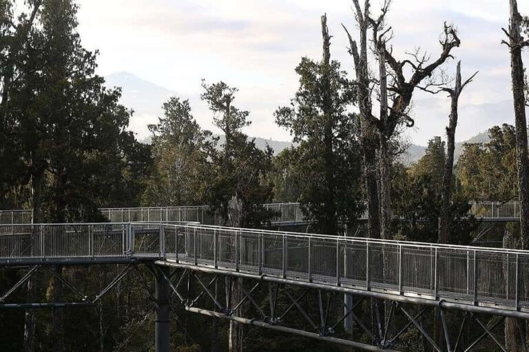 Hokitika: West Coast Treetop Walkway Entrance Ticket - Value and Cost Analysis