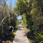Hokitika: Wilderness Trail eBike Tour & Hokitika Gorge Walk - What Sets This Tour Apart?