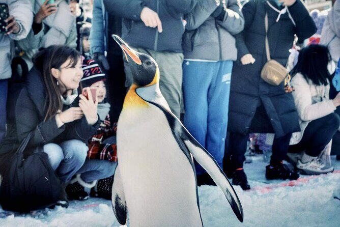 Hokkaido, Asahikawa Zoo Classic Day Tour With Optional Snomobile - What Travelers Say (Based on Reviews)