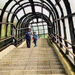 Hokkaido Asahiyama Zoo and Blue Pond Elf Terrace Day Trip - Who Is This Tour Best For?