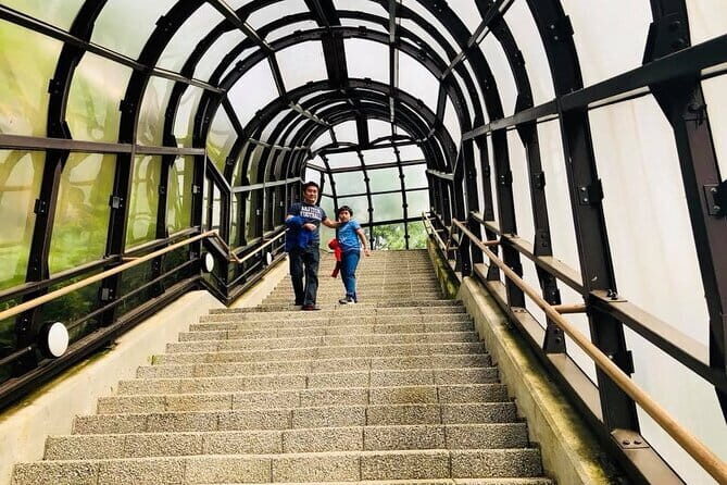 Hokkaido Asahiyama Zoo and Blue Pond Elf Terrace Day Trip - Who Is This Tour Best For?