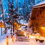 Hokkaido Asahiyama Zoo Biei Elf Terrace Day Tour - Who Should Book This Tour?