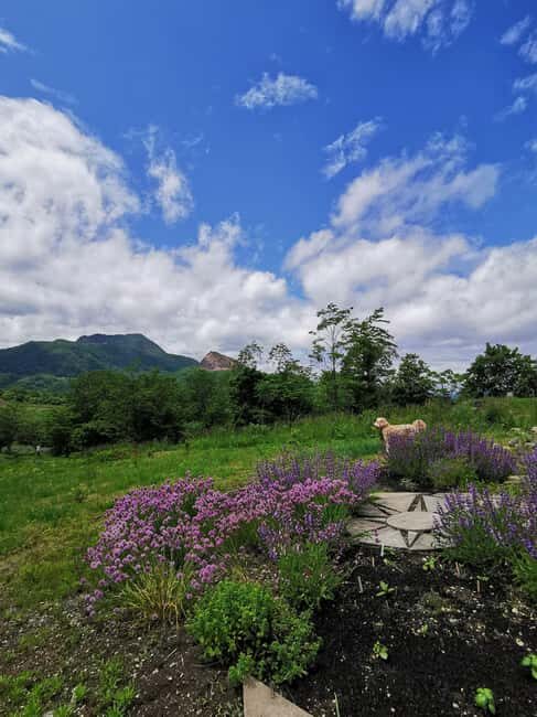 Hokkaido Nature and Gourmet Experience (near Lake Toya) - Why This Experience Works