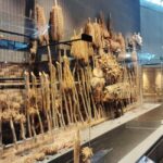 Hokkaido: Nibutani Ainu Culture Tour with Museum Entry - How the Experience Feels in Practice
