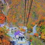 HokkaidoKurodake Ropeway, Asahiyama Zoo Autumn Leaves Tour - Who Will Love This Tour?