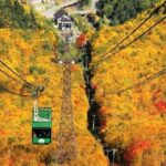 HokkaidoKurodake Ropeway, Asahiyama Zoo Autumn Leaves Tour - Who Is This Tour Best For?