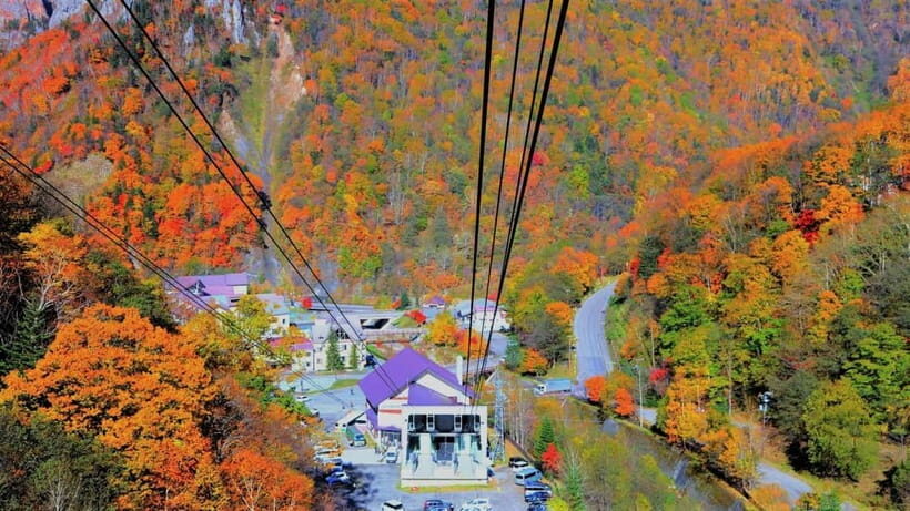 HokkaidoKurodake Ropeway, Asahiyama Zoo Autumn Leaves Tour - Who Will Love This Tour?