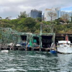 Hong Kong: Aberdeen Boat Tour and Visit Floating Museum - Why This Tour Works for Travelers