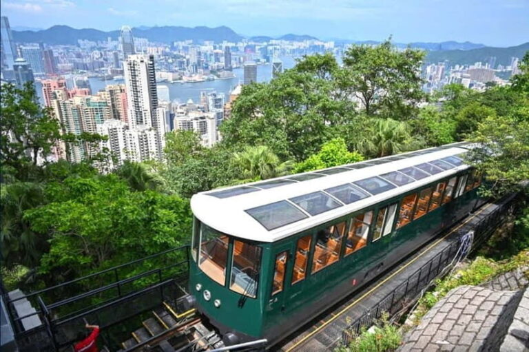 Hong Kong Day Tour: Priority Peak Tram, City Walk & Dim Sum - What the Tour Means for You