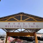 Hong Kong: Lantau Island Tour Cable Car & Village Lunch - Who Is This Tour Best For?