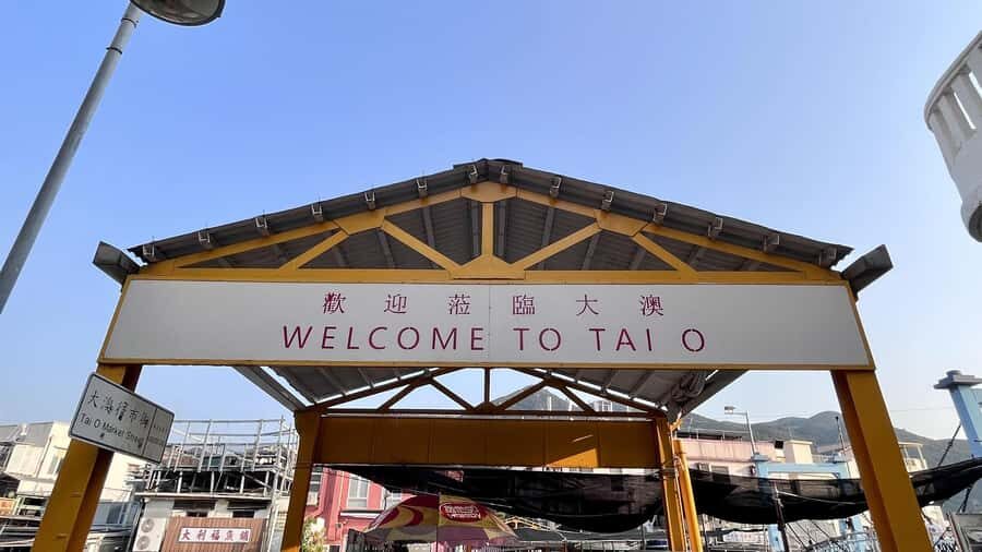 Hong Kong: Lantau Island Tour Cable Car & Village Lunch - Who Is This Tour Best For?