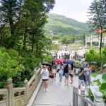 Hong Kong: Lantau VIP Priority Cable Car, Big Buddha & Tai O - What You Can Expect from the Tour