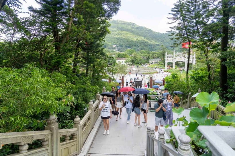 Hong Kong: Lantau VIP Priority Cable Car, Big Buddha & Tai O - What You Can Expect from the Tour