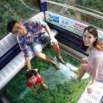 Hong Kong Ngong Ping 360 Cable Car Ticket - The Value for Money
