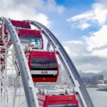 Hong Kong Observation Wheel Admission Ticket - Deep Dive into the Experience