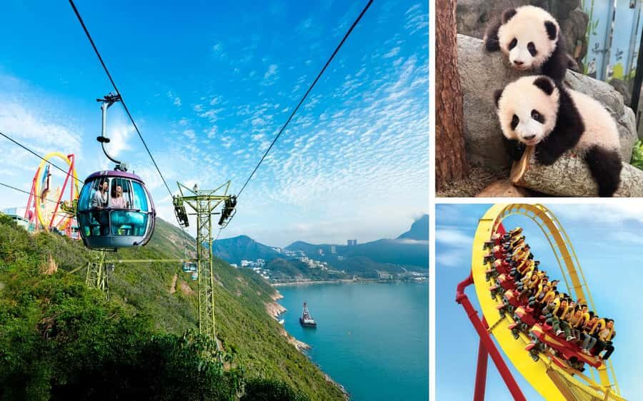 Hong Kong: Ocean Park Entry Ticket - Who Is This Experience Best For?
