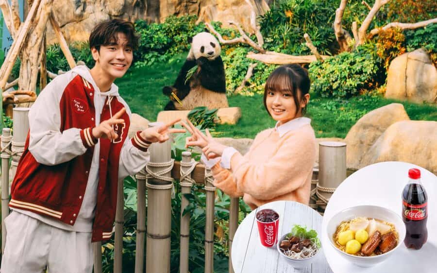 Hong Kong: Ocean Park Entry Ticket + Local Style Set Meal - A Day in the Park: What to Expect