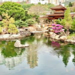 Hong Kong Private Shore Excursion 4/6hrs (with car - MPV) - Transport & Comfort