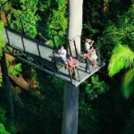 Hop on Hop off - Tamborine Rainforest Skywalk + Glow Worm Caves - Who Should Consider This Tour?