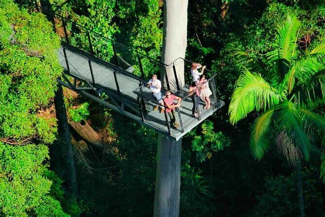 Hop on Hop off - Tamborine Rainforest Skywalk + Glow Worm Caves - Who Should Consider This Tour?