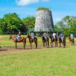 Horse and ATV Quad Combo from Ocho Rios - Who Should Book This Tour?