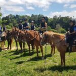 Horse and Quad bike tour with a visit to a Petting Zoo - The Value of the Experience