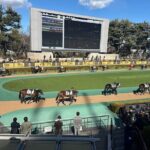 Horse Racing Tour with Local Fans in Nakayama Racecourse - Discovering the Nakayama Racecourse Experience