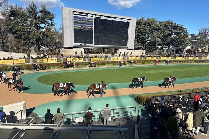 Horse Racing Tour with Local Fans in Nakayama Racecourse - Discovering the Nakayama Racecourse Experience
