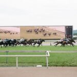 Horse Racing Tour with Local Fans in Tokyo Racecourse - Who Should Book This Tour?