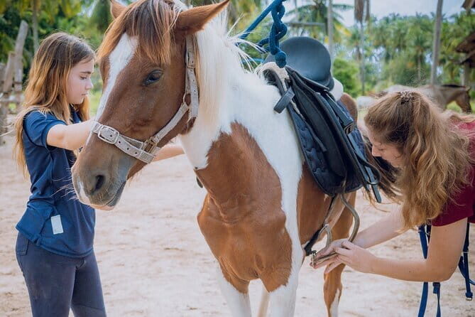 Horse Riding and Beach Trails on Koh Samui - Detailed Review of the Ride Experience
