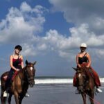 Horse Riding Bali On pigstone beach, Rice Field and village Tour - Who Should Consider This Tour?