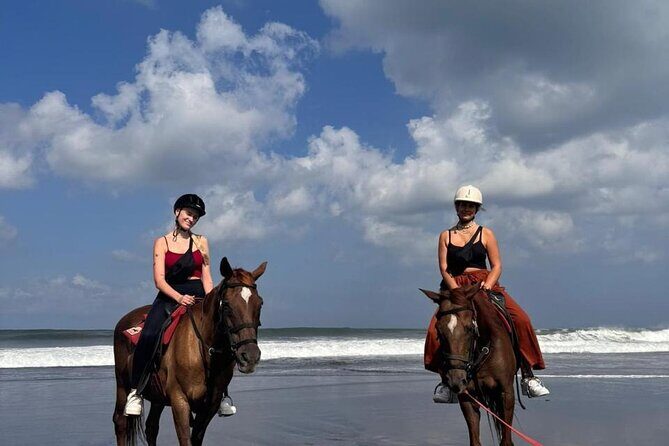 Horse Riding Bali On pigstone beach, Rice Field and village Tour - Who Should Consider This Tour?
