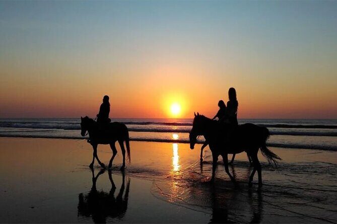 Horse Riding Experience on Black Sand Beach Bali - The Value of This Experience