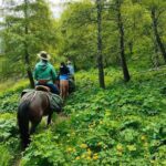 Horse Riding in Ala Archa National Park - Post-Ride Exploration and Picnic