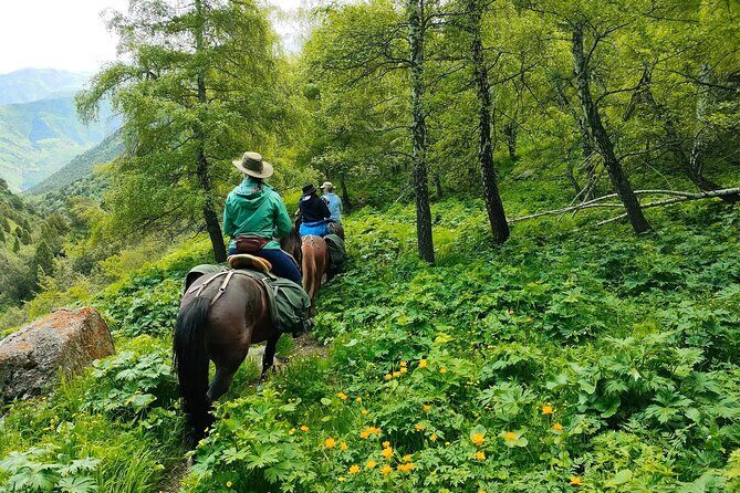 Horse Riding in Ala Archa National Park - Post-Ride Exploration and Picnic