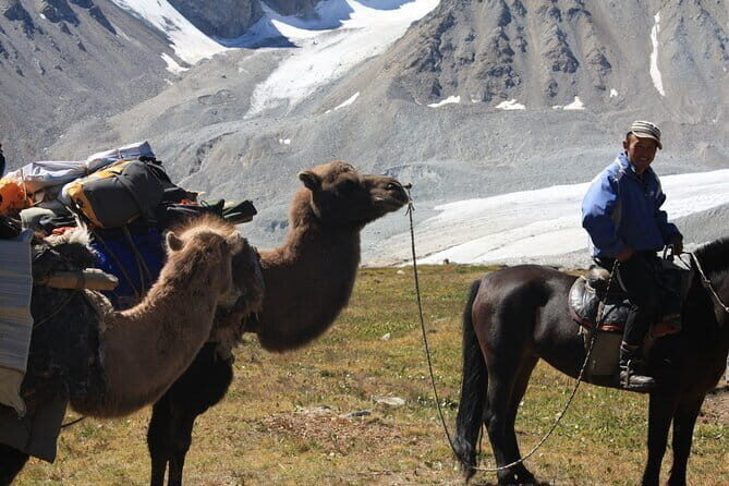 Horse Trekking in Altai Tavan Bogd National Park - Potential Drawbacks or Considerations