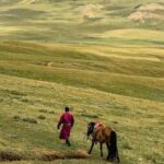 Horse Trekking Tour in Central Mongolia  Nomadic Adventure - Final Thoughts: Who Will Love This Tour?