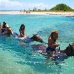 Horseback Ride and Swim Excursion - Practical Details and Considerations