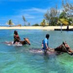 Horseback Ride and Swim Private Tour In Montego Bay - An In-Depth Look at the Horseback Ride and Swim Tour