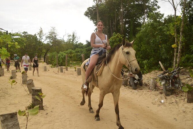 Horseback riding along Macao beach from Punta Cana - Practical Details and Value