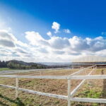 Horseback Riding Club to learn about connecting lives - Who Should Consider This Experience?