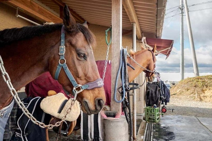 Horseback Riding Club to learn about connecting lives - The Details: What to Expect and Practical Tips
