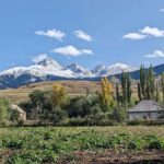 Horseback riding individual 1-day trip in Chon-Kemin gorge - Why This Tour Offers Great Value