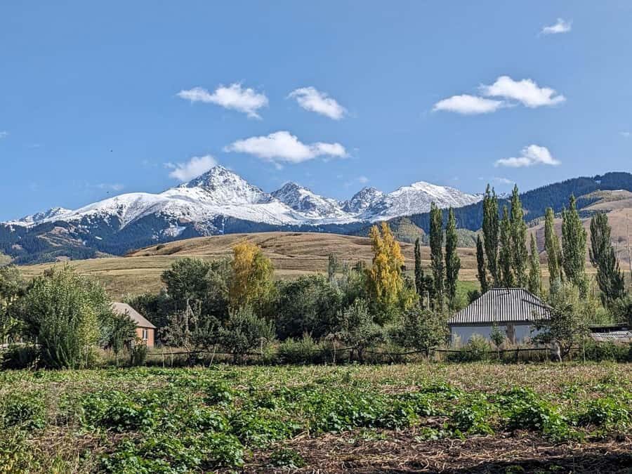 Horseback riding individual 1-day trip in Chon-Kemin gorge - Why This Tour Offers Great Value