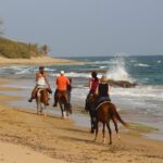 Horseback Riding through Secluded Beaches and Tropical Forests - The Itinerary: What to Expect
