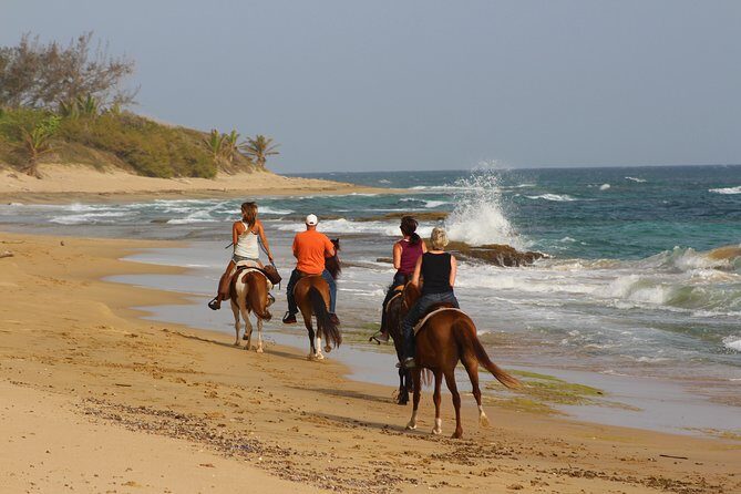 Horseback Riding through Secluded Beaches and Tropical Forests - The Itinerary: What to Expect