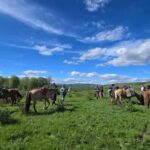 Horseback riding to Khagiin Khar lake - Practicalities & Considerations