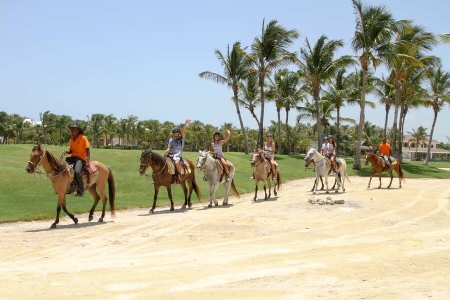 Horseback Riding Tour of Punta Cana - An In-Depth Look at the Horseback Riding Experience