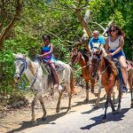 Horseriding in Macao Punta Cana - The Real Deal from Reviews