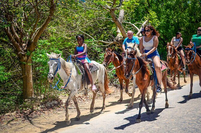 Horseriding in Macao Punta Cana - The Real Deal from Reviews